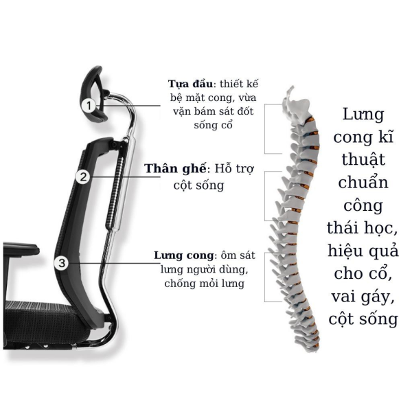 ergonomic office chair, mesh office chair, executive office chair, adjustable office chair, swivel office chair, high back office chair, low back office chair, leather office chair, fabric office chair, modern office chair, computer chair, rolling office chair, desk chair, gaming office chair, office task chair, home office chair, armless office chair, office chair with wheels, office chair with lumbar support, breathable office chair, office chair for back pain, reclining office chair, office chair with headrest, heavy duty office chair, stylish office chair, affordable office chair, office chair for posture, office chair for tall person, office chair for short person, ergonomic desk chair, compact office chair, minimalist office chair, padded office chair, luxury office chair, office chair with footrest, adjustable height chair, office chair with armrests, mesh back chair, tilt office chair, office chair with adjustable arms, ergonomic mesh chair, workstation chair, posture chair, orthopedic office chair, cushioned office chair, reclining desk chair, office chair with back support, executive leather chair, office chair with wheels and arms, office chair with adjustable lumbar, adjustable executive chair, durable office chair, office chair with padded seat, ergonomic high back chair, office chair with synchro-tilt, desk chair with lumbar support, breathable mesh chair, office chair with tilt lock, contoured office chair, office chair for long hours, office chair for gaming, 360 swivel chair, eco-friendly office chair, rolling desk chair, ergonomic computer chair, stylish desk chair, professional office chair, small office chair, big and tall office chair, best office chair, office chair with ergonomic design, task desk chair, office chair for work from home, office chair for productivity, reclining ergonomic chair, supportive desk chair, contemporary office chair, office chair with waterfall seat, adjustable tilt tension chair, modern mesh chair, posture correcting chair, chair for desk job, ergonomic chair for back, adjustable mesh chair, premium office chair, high performance office chair, back support chair, headrest ergonomic chair, full mesh office chair, desk chair with wheels, ergonomic home chair, breathable desk chair, computer desk chair, lumbar support desk chair, swivel desk chair, tilt tension chair, reclining executive chair, ergonomic high back office chair, desk chair with footrest, mesh ergonomic chair, workstation desk chair, ergonomic rolling chair, sleek office chair, budget office chair, office chair for home setup, compact desk chair, padded ergonomic chair, ventilated office chair, supportive computer chair, office chair for lumbar pain, professional desk chair, premium executive chair, breathable ergonomic chair, curved back office chair, padded mesh chair, ergonomic seat chair, comfort office chair, recliner office chair, ergonomic chair with armrests, budget ergonomic chair, office chair for students, workstation chair with wheels, best mesh office chair, modern ergonomic chair, full back support chair, customizable office chair, deluxe office chair, multifunctional office chair, mobile office chair, ergonomic chair with footrest, adjustable comfort chair, rolling ergonomic chair, adjustable height desk chair, premium mesh chair, office chair for comfort, all-day office chair, ergonomic posture chair, seated support chair, back health chair, mesh executive chair, long sitting office chair, breathable back chair, durable mesh chair, office chair with seat cushion, high quality desk chair, ergonomic chair for professionals, compact ergonomic chair, computer chair with lumbar, value office chair, ergonomic desk solution, desk seating chair, chair for office productivity, dynamic office chair, padded executive chair, reclining mesh chair, home working chair, all-day comfort chair, innovative office chair, professional seating chair, mesh back support chair, flexible back chair, sturdy office chair, cozy desk chair, high end office chair, ergonomic recliner chair, best chair for back, chair with posture support, desk chair with support, adaptive office chair, height adjustable chair, chair with adjustable seat, functional office chair, ergonomic support chair, comfort task chair, mesh reclining office chair, minimalist desk chair, breathable computer chair, soft seat office chair, supportive mesh chair, designer office chair, mesh seating chair, hybrid office chair, active sitting chair, chair for long working hours, adjustable backrest chair, health-focused office chair, executive posture chair, high back ergonomic desk chair, versatile office chair, body support office chair, ultra comfort chair, wheeled desk chair, chair with cushion seat, ventilated mesh chair, chair for computer work, best posture chair, luxury executive chair, recliner desk chair, business office chair, work from home chair, digital nomad chair, posture alignment chair, ergonomic leather chair, top rated office chair, mid-back office chair, tech office chair, desk chair with breathable back, modern reclining chair, tech ergonomic chair, office chair for professionals, comfort mesh chair, supportive executive chair, stylish task chair, workplace chair, adjustable desk seat, ergonomic workstation seating, hybrid working chair, 3D armrest chair, ergonomic chair with tilt, mesh back ergonomic chair, ventilated desk chair, chair with head and neck support, ergonomic productivity chair, comfort back support chair, mesh work chair, dynamic seating chair, adjustable support chair, pressure relief office chair, chair for creative work, smart office chair, posture enhancing chair, chair with flexible back, advanced ergonomic chair, full lumbar support chair, comfortable reclining office chair, office chair with reclining back, office chair with extendable footrest, chair for remote work, task seating chair, firm support office chair, ergonomic desk companion, mesh back desk chair, cooling office chair, breathable mesh back chair, firm cushion chair, supportive reclining chair, office recliner chair, flexible seat office chair, modern task chair, mesh seat office chair, durable executive chair, adjustable ergonomic mesh chair, office chair with dual support, premium task seating, motion chair, ergonomic kneeling chair, back and seat support chair, deluxe ergonomic chair, ergonomic work companion, desk chair for efficiency, orthopaedic office chair, seat with lumbar support, adjustable back chair, stylish mesh chair, executive comfort chair, comfort-first office chair, compact comfort chair, best ergonomic seat, tech-ready office chair, active posture chair, full support office chair, mesh office recliner, hybrid ergonomic chair, comfort mesh desk chair, ergonomic chair with recline, full recline office chair, all-purpose office chair, advanced mesh chair, smart ergonomic seating, comfy executive chair, modern work chair, back rest office chair, desk companion chair, stylish comfort chair, adjustable executive mesh chair, sit stand compatible chair, mesh spine support chair, ergonomic innovation chair, seat cushion office chair,