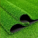 green grass carpet, artificial grass carpet, synthetic grass carpet, faux grass rug, artificial lawn carpet, green turf rug, fake grass carpet, indoor grass carpet, outdoor grass carpet, green artificial turf, plastic grass rug, astroturf carpet, green carpet roll, grass floor mat, synthetic turf carpet, landscape grass carpet, garden grass rug, balcony grass carpet, patio grass rug, fake lawn carpet, decorative grass carpet, soft artificial grass carpet, realistic grass carpet, lush green grass rug, high pile grass carpet, low pile grass carpet, waterproof grass carpet, UV resistant grass carpet, pet friendly grass carpet, dog grass mat, backyard grass carpet, rooftop grass carpet, terrace grass carpet, poolside grass carpet, playground grass carpet, golf putting green carpet, sports turf carpet, event grass carpet, wedding grass rug, exhibition grass carpet, balcony turf roll, indoor outdoor green carpet, synthetic lawn rug, high density grass carpet, natural look grass carpet, grass carpet for decor, landscaping turf carpet, evergreen grass carpet, shock absorbent grass carpet, non slip grass carpet, eco friendly grass carpet, durable grass carpet, easy clean grass rug, drainage grass carpet, perforated grass rug, heavy duty grass carpet, artificial moss rug, interlocking grass tiles carpet, green mat roll, fake grass floor covering, synthetic grass mat, patio turf carpet, garden artificial turf, deck grass carpet, porch grass rug, walkway grass carpet, lawn replacement carpet, zero maintenance grass carpet, evergreen turf carpet, plastic lawn rug, poly grass carpet, nylon grass rug, polyethylene grass carpet, polypropylene turf rug, multi tone green grass carpet, dark green grass carpet, light green grass carpet, emerald green grass rug, two tone grass carpet, 4 tone grass carpet, thatch grass carpet, spring green grass rug, autumn grass carpet, soft touch grass carpet, lush turf mat, fake turf carpet, artificial grass runner, grass carpet runner, long grass carpet roll, wide grass carpet roll, custom length grass carpet, cut to size grass carpet, grass carpet 10mm, grass carpet 20mm, grass carpet 30mm, grass carpet 40mm, grass carpet 50mm, short blade grass carpet, tall blade grass carpet, dense grass carpet roll, thick grass carpet, padded grass carpet, foam back grass carpet, rubber back grass carpet, latex back grass carpet, drain hole grass rug, weather resistant grass carpet, frost proof grass carpet, heat resistant turf rug, flame retardant grass carpet, non toxic grass carpet, lead free artificial grass carpet, child safe grass carpet, puppy turf mat, pet potty grass carpet, dog training grass mat, balcony floor green carpet, apartment balcony grass rug, veranda grass carpet, courtyard grass carpet, rooftop garden grass mat, poolside turf carpet, patio floor covering grass, outdoor carpet green grass, indoor putting green rug, golf practice grass mat, minigolf turf carpet, sports field grass rug, gym turf carpet, sled push grass rug, functional training grass carpet, trade show grass rug, party grass carpet, stage green grass rug, photo backdrop grass rug, retail display grass carpet, shop floor grass mat, commercial grass carpet, residential grass carpet, premium artificial grass rug, luxury grass carpet, budget grass carpet, cheap grass carpet roll, wholesale grass carpet, discounted grass rug, artificial grass carpet sale, buy grass carpet online, best artificial grass carpet, realistic lawn rug, artificial grass carpet for home, synthetic grass carpet for balcony, outdoor green rug, green floor carpet, green lawn mat, artificial turf runner, fake grass runner, turf grass flooring, synthetic grass floor, artificial lawn mat, green carpet turf, synthetic turf rug, landscape turf carpet, garden turf rug, patio lawn carpet, deck turf rug, balcony green mat, indoor outdoor turf carpet, plastic grass roll, fake grass tile carpet, green turf mat, artificial grass matting, synthetic lawn mat, grass texture carpet, realistic lawn mat, heavy duty turf carpet, shockpad grass carpet, soft turf rug, pet turf carpet, commercial turf carpet, home turf rug, synthetic lawn runner, artificial turf floor roll, green grass floor tile, green turf roll, grass carpet for patio, grass carpet for garden, grass carpet for dog, grass carpet for balcony, grass carpet for event, artificial grass carpet 10x12, artificial grass carpet 6x9, grass rug 5x8, artificial turf carpet roll 12ft, cut grass carpet, high quality grass carpet, thick pile grass carpet, low maintenance grass rug, all weather grass carpet, sun resistant grass rug, pet safe artificial lawn carpet, residential lawn rug, green grass runner, outdoor turf carpet. Locational SEO Tags (250 Tags) green grass carpet New York, artificial grass carpet NYC, synthetic grass carpet Los Angeles, green grass carpet Chicago, outdoor grass carpet Houston, artificial turf Phoenix, green grass carpet Philadelphia, grass rug San Antonio, synthetic grass San Diego, green grass carpet Dallas, artificial turf San Jose, green grass carpet Austin, outdoor grass carpet Jacksonville, artificial grass Fort Worth, green grass carpet Columbus, grass rug Charlotte, synthetic grass Indianapolis, green grass carpet San Francisco, outdoor grass carpet Seattle, artificial turf Denver, green grass carpet Washington DC, grass rug Nashville, synthetic grass Oklahoma City, green grass carpet El Paso, outdoor grass carpet Boston, artificial grass Portland, green grass carpet Las Vegas, grass rug Detroit, synthetic grass Memphis, green grass carpet Louisville, outdoor grass carpet Baltimore, artificial turf Milwaukee, green grass carpet Albuquerque, grass rug Tucson, synthetic grass Fresno, green grass carpet Sacramento, outdoor grass carpet Mesa, artificial grass Kansas City, green grass carpet Atlanta, grass rug Omaha, synthetic grass Colorado Springs, green grass carpet Raleigh, outdoor grass carpet Virginia Beach, artificial turf Long Beach, green grass carpet Miami, grass rug Oakland, synthetic grass Minneapolis, green grass carpet Tulsa, outdoor grass carpet Bakersfield, artificial grass Wichita, green grass carpet Arlington, grass rug Tampa, synthetic grass Aurora, green grass carpet Santa Ana, outdoor grass carpet St Louis, artificial turf Pittsburgh, green grass carpet Corpus Christi, grass rug Riverside, synthetic grass Cincinnati, green grass carpet Lexington, outdoor grass carpet Anchorage, artificial grass Stockton, green grass carpet Toledo, grass rug Newark, synthetic grass Greensboro, green grass carpet Plano, outdoor grass carpet Lincoln, artificial turf Orlando, green grass carpet Irvine, grass rug Durham, synthetic grass Chula Vista, green grass carpet Fort Wayne, outdoor grass carpet St Petersburg, artificial grass Laredo, green grass carpet Jersey City, grass rug Chandler, synthetic grass Madison, green grass carpet Lubbock, outdoor grass carpet Scottsdale, artificial turf Reno, green grass carpet Buffalo, grass rug Gilbert, synthetic grass Glendale, green grass carpet North Las Vegas, outdoor grass carpet Winston Salem, artificial grass Chesapeake, green grass carpet Norfolk, grass rug Fremont, synthetic grass Garland, green grass carpet Irving, outdoor grass carpet Hialeah, artificial turf Spokane, green grass carpet Baton Rouge, grass rug Tacoma, synthetic grass San Bernardino, green grass carpet Modesto, outdoor grass carpet Fontana, artificial grass Des Moines, green grass carpet Moreno Valley, grass rug Santa Clarita, synthetic grass Fayetteville, green grass carpet Birmingham, outdoor grass carpet Rochester, artificial turf Grand Rapids, green grass carpet Salt Lake City, grass rug Huntsville, synthetic grass Yonkers, green grass carpet Amarillo, outdoor grass carpet Huntington Beach, artificial grass McKinney, green grass carpet Montgomery, grass rug Augusta, synthetic grass Akron, green grass carpet Little Rock, outdoor grass carpet Tempe, artificial turf Overland Park, green grass carpet Grand Prairie, grass rug Tallahassee, synthetic grass Cape Coral, green grass carpet Mobile, outdoor grass carpet Knoxville, artificial grass Shreveport, green grass carpet Worcester, grass rug Ontario, synthetic grass Vancouver, green grass carpet Sioux Falls, outdoor grass carpet Peoria, artificial turf Springfield, green grass carpet Fort Lauderdale, grass rug Providence, synthetic grass Newport News, green grass carpet Chattanooga, outdoor grass carpet Rancho Cucamonga, artificial grass Oceanside, green grass carpet Santa Rosa, grass rug Port St Lucie, synthetic grass Tempe, green grass carpet Salem, outdoor grass carpet Eugene, artificial turf Corona, green grass carpet Jackson, grass rug Alexandria, synthetic grass Hayward, green grass carpet Lakewood, outdoor grass carpet Clarksville, artificial grass Palmdale, green grass carpet Hollywood, grass rug Pasadena, synthetic grass Sunnyvale, green grass carpet Macon, outdoor grass carpet Pomona, artificial turf Escondido, green grass carpet Killeen, grass rug Naperville, synthetic grass Joliet, green grass carpet Bellevue, outdoor grass carpet Rockford, artificial grass Savannah, green grass carpet Paterson, grass rug Torrance, synthetic grass Bridgeport, green grass carpet McAllen, outdoor grass carpet Mesquite, artificial turf Syracuse, green grass carpet Orange, grass rug Fullerton, synthetic grass Dayton, green grass carpet Olathe, outdoor grass carpet Waco, artificial grass Carrollton, green grass carpet Roseville, grass rug West Valley City, synthetic grass Warren, green grass carpet Hampton, outdoor grass carpet Surprise, artificial turf Columbia, green grass carpet Coral Springs, grass rug Stamford, synthetic grass Sterling Heights, green grass carpet Kent, outdoor grass carpet Elizabeth, artificial grass Santa Clara, green grass carpet New Haven, grass rug Topeka, synthetic grass Thousand Oaks, green grass carpet Athens, outdoor grass carpet Cedar Rapids, artificial turf Simi Valley, green grass carpet Fargo, grass rug Norman, synthetic grass Abilene, green grass carpet Wilmington, outdoor grass carpet Berkeley, artificial grass Round Rock, green grass carpet Allentown, grass rug Pearland, synthetic grass Clovis, green grass carpet Lansing, outdoor grass carpet Richardson, artificial turf Cambridge, green grass carpet Arvada, grass rug Clearwater, synthetic grass West Jordan, green grass carpet Westminster, outdoor grass carpet High Point, artificial grass Manchester, green grass carpet Pueblo, grass rug Elgin, synthetic grass Ventura, green grass carpet West Palm Beach, outdoor grass carpet Pompano Beach, artificial turf London UK, green grass carpet Toronto, grass rug Sydney, synthetic grass Melbourne, artificial grass carpet